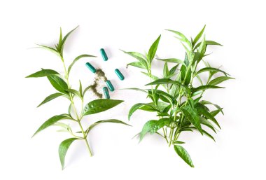 Beyaz arka planda taze kariyer bitkisi ve kapsül. en üstteki görünüm