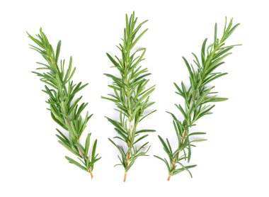 Beyaz arkaplanda biberiye izole edildi