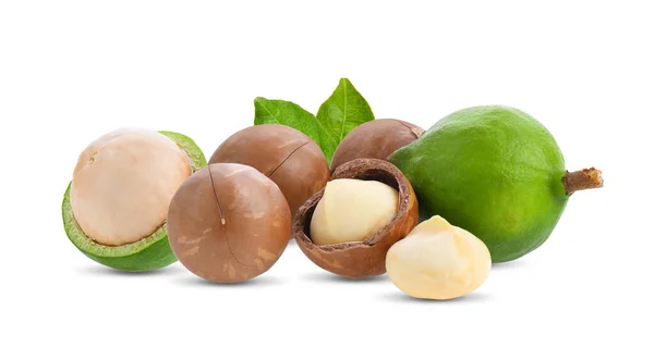 Makadamia Ořechy Listem Izolované Bílém Pozadí — Stock fotografie