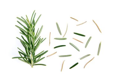 Beyaz arkaplanda taze biberiye izole edildi