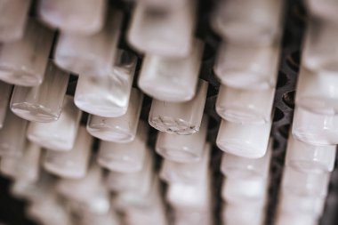 Akordeon deseninin beyaz düğmeleri.