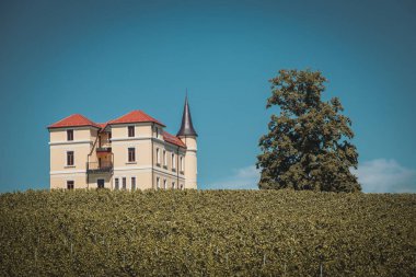 Tepedeki üzüm bağından bir kale..