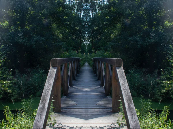 Зеркальный Мост Лесу — стоковое фото