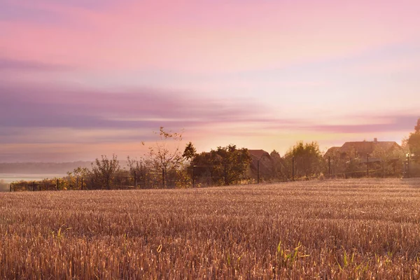Красивый Пейзаж Заката Розовый Пастельный Закат Над Полем Подходит Обоев — стоковое фото