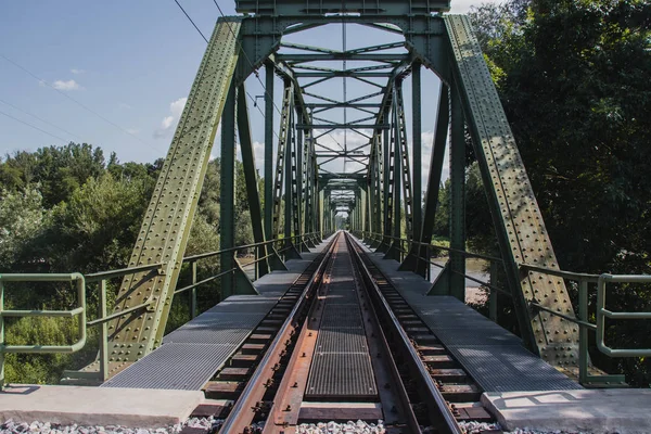 Demiryolu köprüsü arkaplanda ağaçlarla nehri geçiyor.,