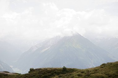 Güneşli bir baharda, dağların altında taze yeşil çayırlarda otlayan ineklerle dolu güzel panoramik manzara, Ulusal Park Hohe Tauern, Salzburger Land, Avusturya