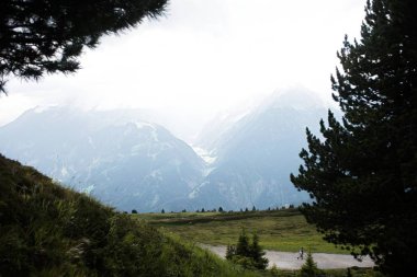Güneşli bir baharda, dağların altında taze yeşil çayırlarda otlayan ineklerle dolu güzel panoramik manzara, Ulusal Park Hohe Tauern, Salzburger Land, Avusturya