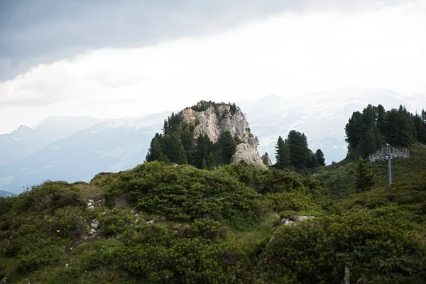 Bela vista panorâmica da paisagem alpina rural com vacas pastando em prados verdes frescos por baixo dos cumes das montanhas em um dia ensolarado na primavera, Parque Nacional Hohe Tauern, Salzburger Land, Áustria — Fotografia de Stock