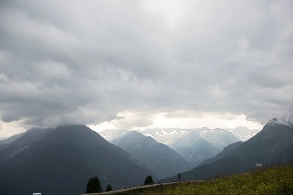 Bella vista panoramica sul paesaggio rurale alpino con mucche al pascolo in prati verdi freschi sotto le cime delle montagne in una giornata di sole in primavera, Parco Nazionale Alti Tauri, Salisburghese, Austria — Foto Stock