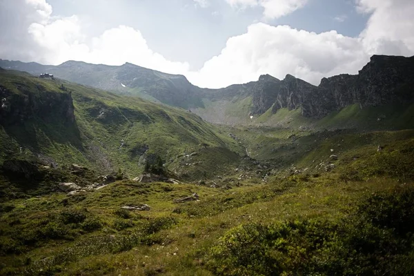 Wunderschöner Panoramablick auf ländliche Almlandschaft mit Kühen, die an einem sonnigen Frühlingstag auf frischen grünen Wiesen unter Berggipfeln grasen, Nationalpark hohe tauern, salzburger Land, Österreich — Stockfoto