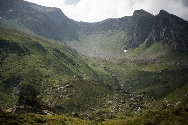 Vacker panoramautsikt över alpina landsbygden med kor betar i färska gröna ängar under bergstoppar på en solig dag på våren, nationalpark Hohe Tauern, Salzburger Land, Österrike — Stockfoto