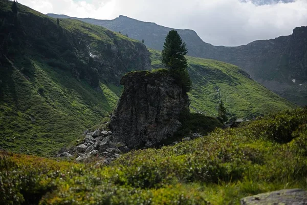 Piękny panoramiczny widok wiejskiego krajobrazu alpejskiego z krowami pasącymi się na świeżych zielonych łąkach pod szczytami gór w słoneczny dzień wiosną, Park Narodowy Hohe Tauern, Ziemia Salzburska, Austria — Zdjęcie stockowe