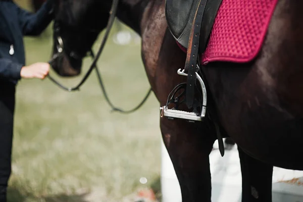 Un primo piano del fianco di un cavallo durante un colpo di movimento dressage — Foto Stock