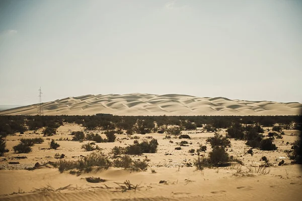 Silhueta de linha de energia pela paisagem do deserto em um dia nebuloso — Fotografia de Stock