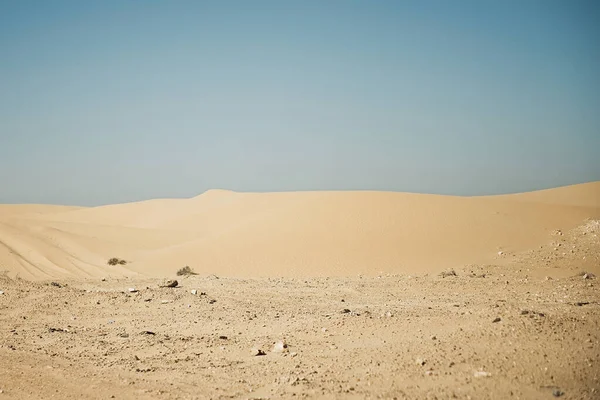 Dune Sabbia Nel Deserto Gobi Sahara Africa — Foto Stock