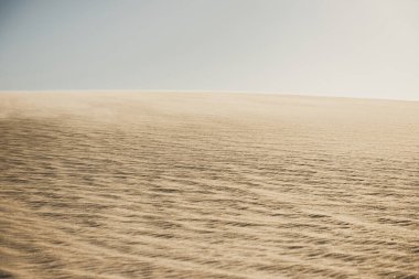 Altın çöl kum tepeleri sığ bir alan derinliğiyle alındı