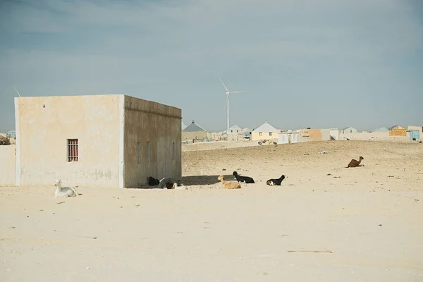 Mały Dom Improwizowane Saharze Mauretanii — Zdjęcie stockowe