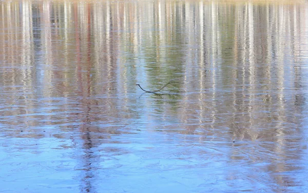 春の朝 薄い氷の膜で覆われた池の表面 — ストック写真