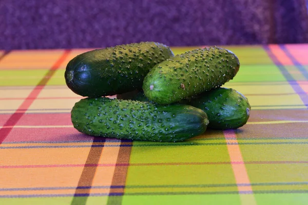 Frisches Gemüse Ein Stapel Gurken Auf Dem Tisch — Stockfoto