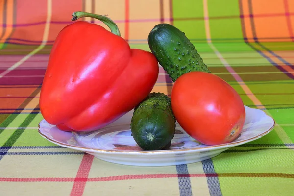 Légumes Frais Poivron Rouge Tomate Concombres Dans Une Assiette — Photo