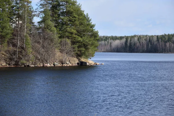 Printemps Journée Ensoleillée Sur Les Rives Rivière — Photo