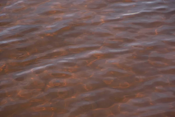 澄んだ水の中から見える川の底 — ストック写真