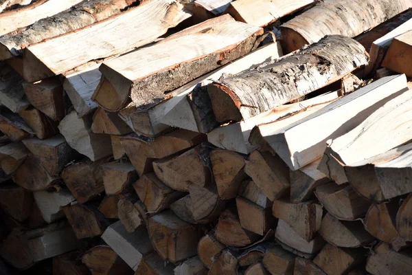 Brennholz Aus Espen Und Birken — Stockfoto