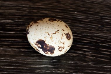 Siyah kesme tahtasındaki bıldırcın yumurtası.