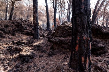İtalya, Ercolano, volkan Vesuvius, 