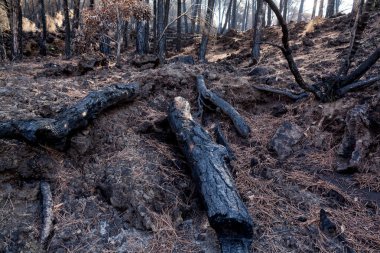 İtalya, Ercolano, volkan Vesuvius, 