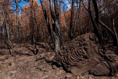 İtalya, Ercolano, volkan Vesuvius, 
