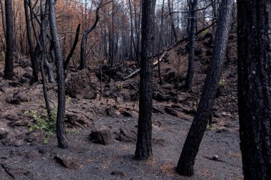 İtalya, Ercolano, volkan Vesuvius, 