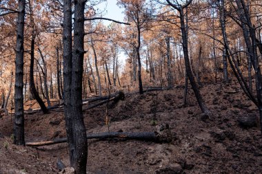 İtalya, Ercolano, volkan Vesuvius, 