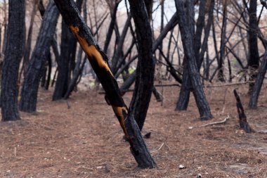 İtalya, Ercolano, volkan Vesuvius, 