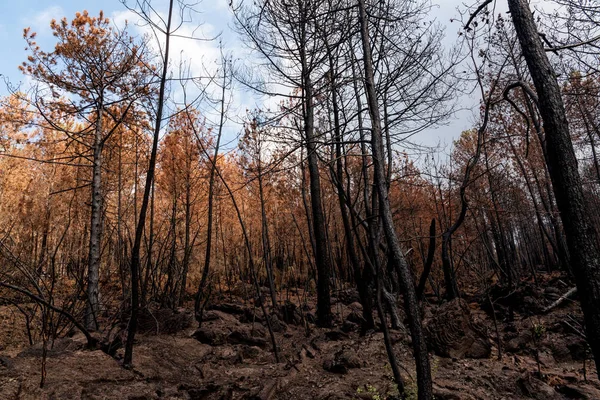 İtalya, Ercolano, volkan Vesuvius, 