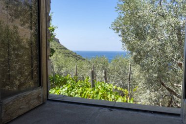 İtalya, Campania, Sorrento, Nerano, Jeranto