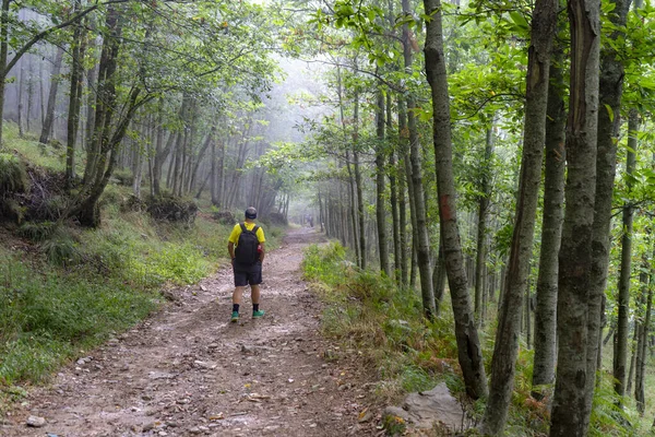 walk trekking on the path of the Gods and path of three Calli