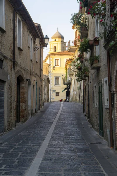 Walking Alleys Perdifumo — Stock Photo, Image