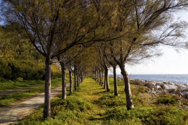 Torrefumo Gölü Parkı Miseno, Bacoli, Napoli, Campania, İtalya
