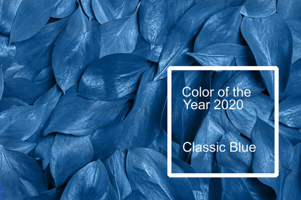 Full frame with Classic Blue toned fresh leaves and text of Color of 2020 Year, trendy backdrop.