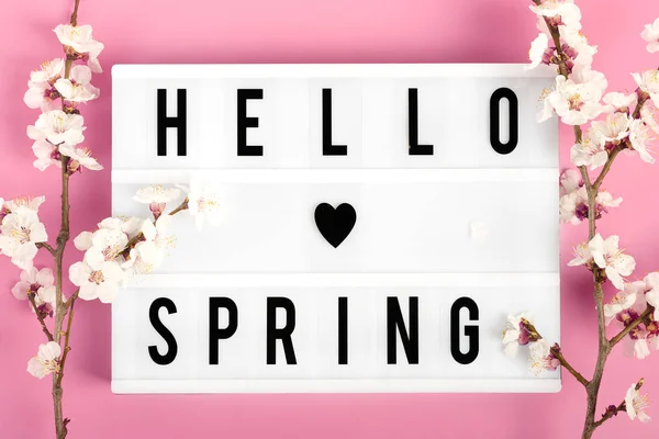 花とテキスト付きのライトボックスを持つアプリコットの木の春ピンクの背景にこんにちは春 春のコンセプトは 幸せなイースター 母の日だった 最上階だ平敷 — ストック写真