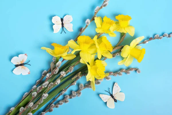 Lindas Flores Amarelas Narcisos Salgueiro Fundo Azul Conceito Férias Hello — Fotografia de Stock