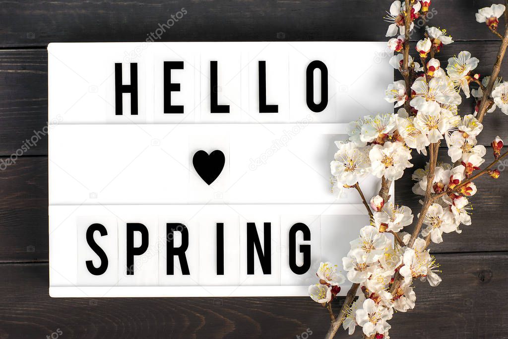 Sprigs of the apricot tree with flowers, lightbox with quote Hello spring on wooden background. Place for text. The concept of spring came, happy easter, mother's day. Top view. Flat lay. Copy space