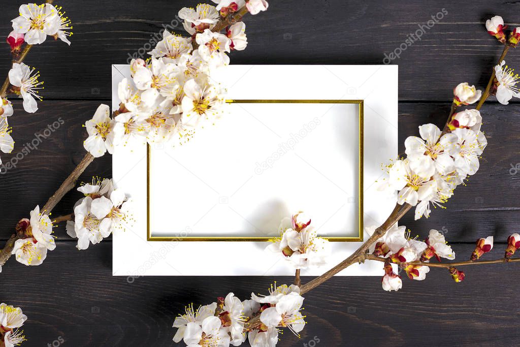 White photo frame and sprigs of the apricot tree with flowers on wooden background. Place for text. The concept of spring came, happy easter, mother's day. Top view. Flat lay. Copy space.