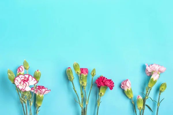 Bukett av olika rosa nejlika blommor på blå färgglada bakgrund — Stockfoto