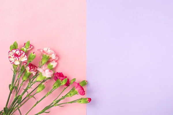 Bukett av olika rosa nejlika blommor på dubbel färgglad bakgrund — Stockfoto