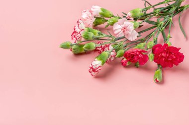 Pembe arka planda farklı pembe karanfil çiçeklerinden oluşan buket. Düz manzara. Tatil kartı 8 Mart, Sevgililer Günü, Anneler Günü konsepti Banner.