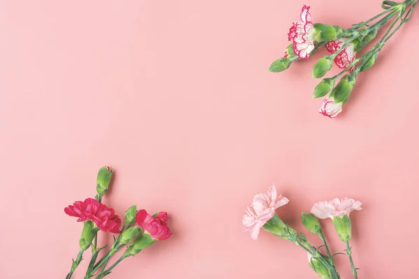 Bukett Olika Rosa Nejlika Blommor Rosa Bakgrund Ovanifrån Platt Låg — Stockfoto