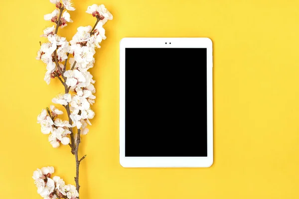 Çiçekli kayısı ağacı buketi, sarı arka planda beyaz tablet. Mesaj için yer. Düz yatış Mock up.