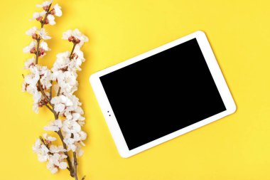 Çiçekli kayısı ağacı buketi, sarı arka planda beyaz tablet. Mesaj için yer. Düz yatış Mock up.